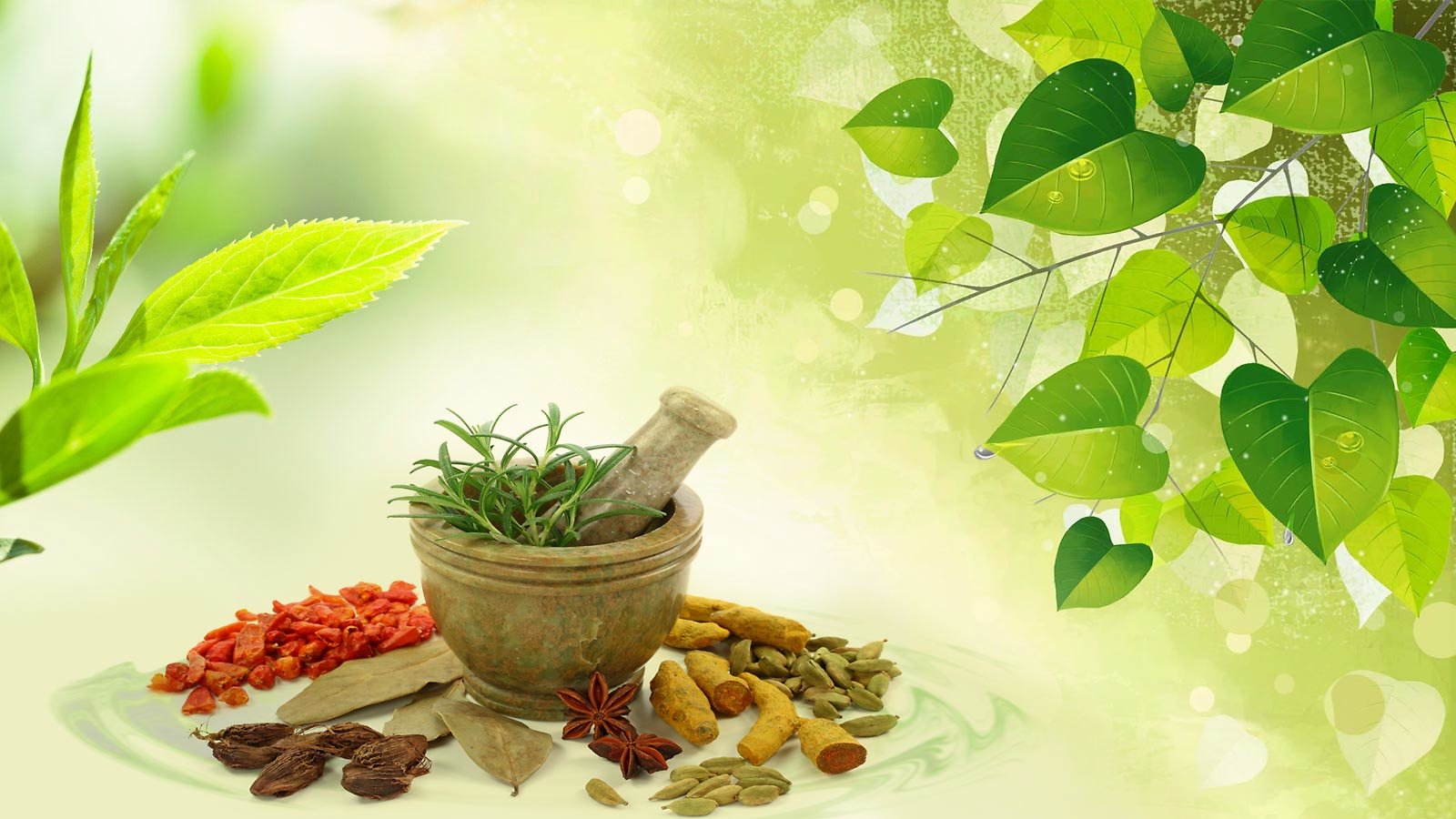 Ayurvedic Treatments. 1photo-fw